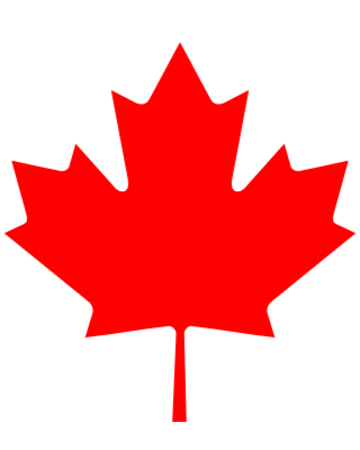 CANADA INTERNATIONAL RESOURCES
