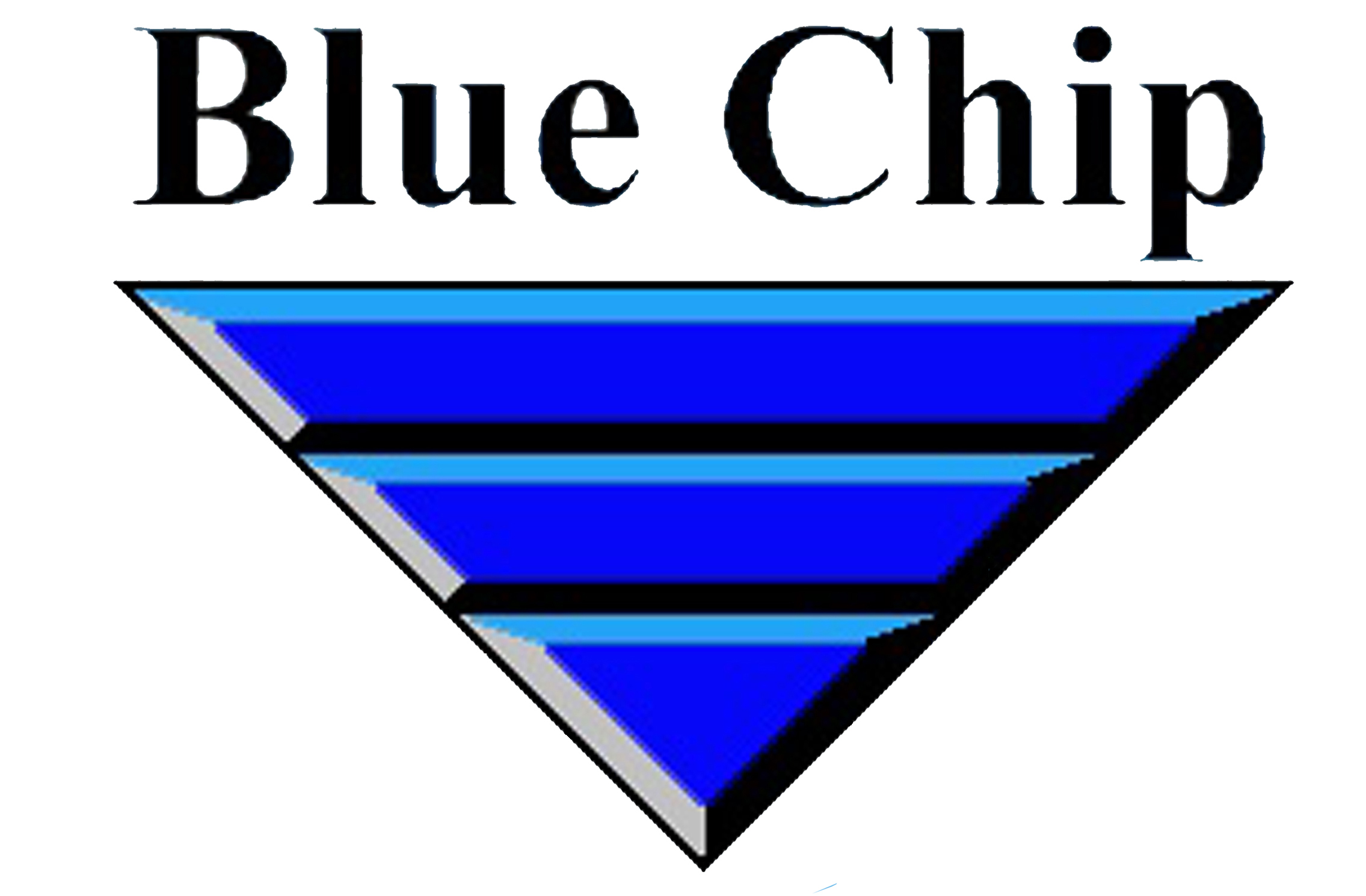 BLUE CHIP INNOVAZIONE S.R.L.