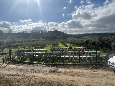 Foto aziendale