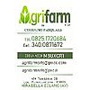 AGRIFARM SRLS