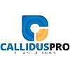 CALLIDUS PRO - IT SOLUTIONS