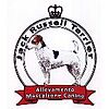 ALLEVAMENTO JACK RUSSELL TERRIER MASCALZONE CANINO