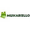 MUSCARIELLO S.R.L