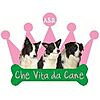 Vita Cane