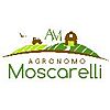 MOSCARELLI ANGELO