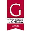 AZIENDA AGRICOLA IL GHIZZO DI ANSELMI ADELE