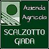 SCALZOTTO GIADA