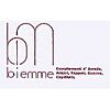 BIEMME S.A.S. DI BORRONI ANNA & C.