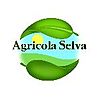 AGRICOLA SELVA DI NICOLI MANUELA