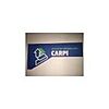 CARPI IMMOBILIARE SAS