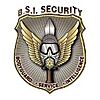 ISTITUTO DI VIGILANZA PRIVATO B.S.I. SECURITY S.R.L.