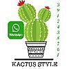 KACTUSSTYLE