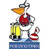 Pellicano Mare Acqua service s.r.l.