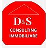 D & S CONSULTING SRLS