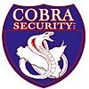 COBRA SECURITY S.R.L.