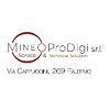 MINEO PRODIGI S.R.L.