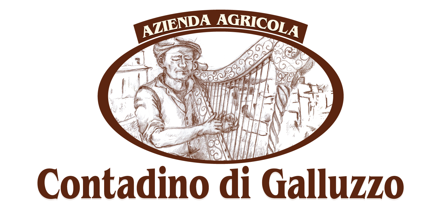 AZIENDA AGRICOLA CONTADINO DI GALLUZZO