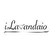 ILAVANDAIO 13 SERVICE ELITE SRL 