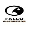 Falco Multiservices di Mina Sawires