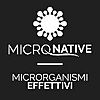 MICRONATIVE