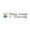 Nato sotto il cavolo