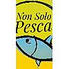 NON SOLO PESCA DI VECE TIZIANO