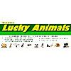 lucky animals