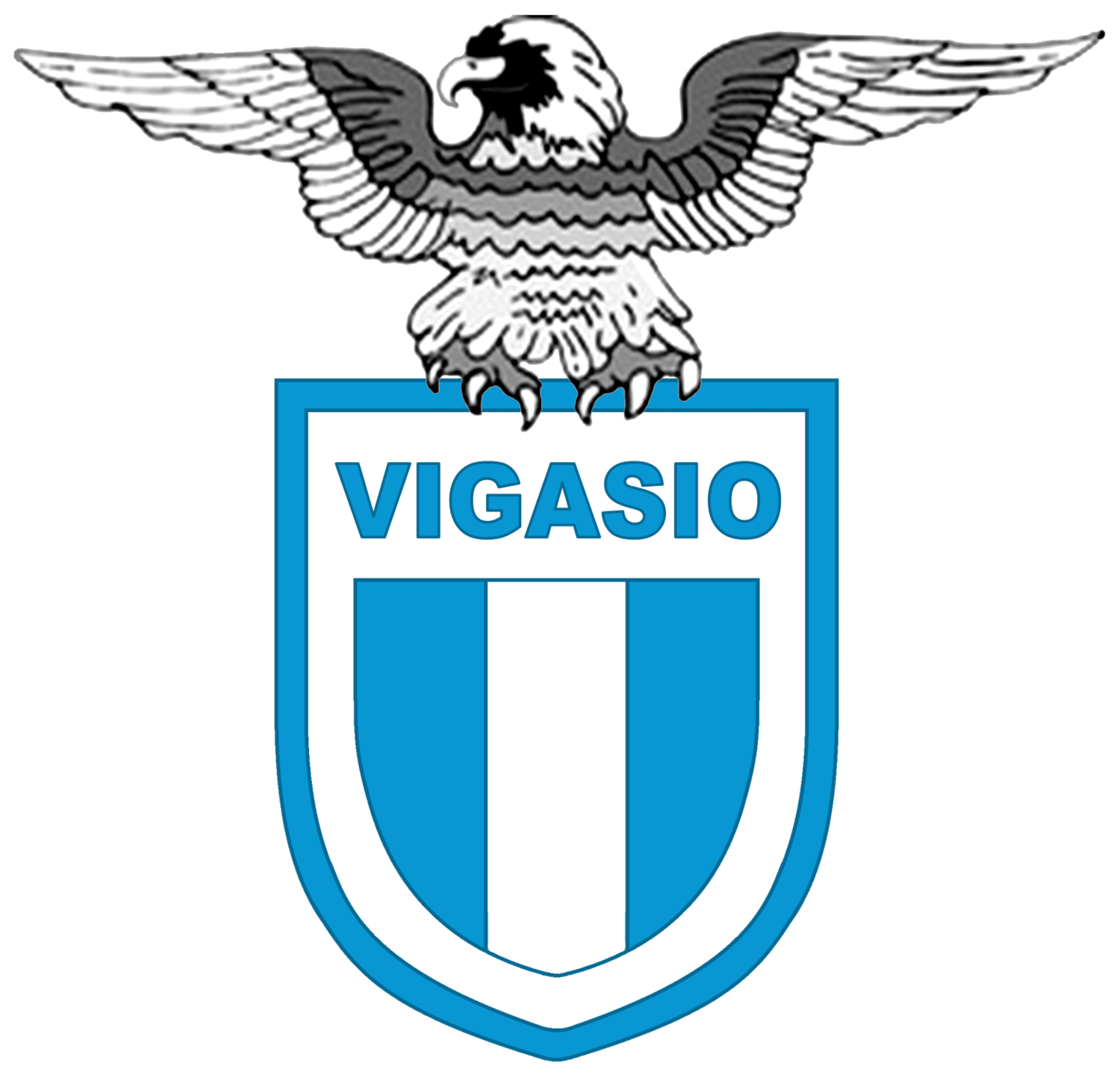 S.S.D. Vigasio A R.L.