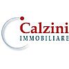 CALZINI IMMOBILIARE 