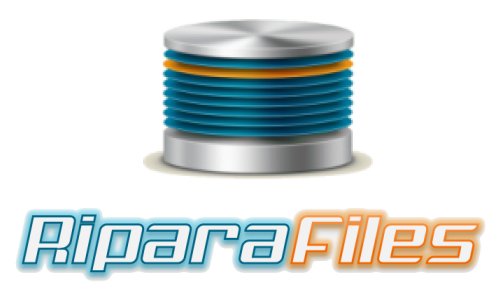 Riparafiles Srl - Recupero Dati da Supporti IT