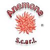 Anemone s.c.a r.l.