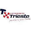 Carrozzeria Trieste S.R.L. Con Socio Unico