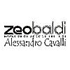 ZEO BALDI PARRUCCHIERI DI ALESSANDRO CAVALLI