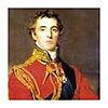 THE DUKE OF WELLINGTON