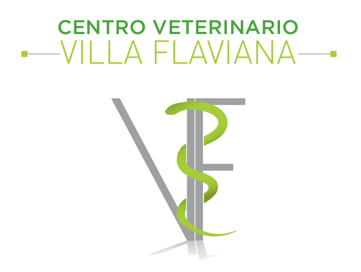 Centro Veterinario Villa Flaviana 