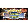 VENDITA ONLINE FUOCHI D'ARTIFICIO