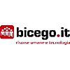 STUDIO BICEGO, SRL