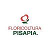 FLORICOLTURA PISAPIA SOCIETA' SEMPLICE AGRICOLA