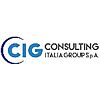 CONSULTING ITALIA GROUP S.P.A.