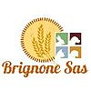 BRIGNONE S.A.S. DI BRIGNONE LUCIANO & C.