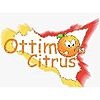 OTTIMO CITRUS SOCIETA' A RESPONSABILITA' LIMITATA SEMPLIFICATA