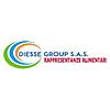 DIESSE GROUP S.A.S. DI DAMIANO BERTOLINI & C.