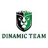 DINAMIC TEAM SRL