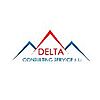 DELTA CONSULTING SERVICE SRL