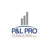 P&L PRO CONSULTING S.A.S.