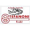 STEFANONI F.LLI DI STEFANONI MAURO & C. SOCIETA' SEMPLICE AGRICOLA