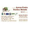 ACERNO FRUTTA PACIFICO MICHELE - SOCIETA'COOPERATIVA