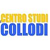 Collodi srl