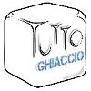 TUTTOGHIACCIO SRL