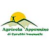 AGRICOLA APPENNINO DI CARUBBI EMANUELE